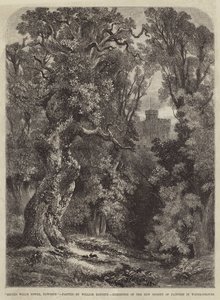 Tour de Belted Will, Naworth - Samuel Read